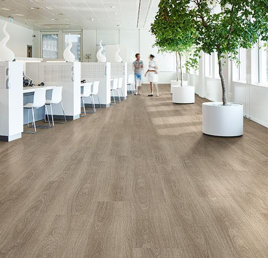 ПВХ плитка Forbo Allura Click XXL 60280 дуб Серый, замок фото в интерьере